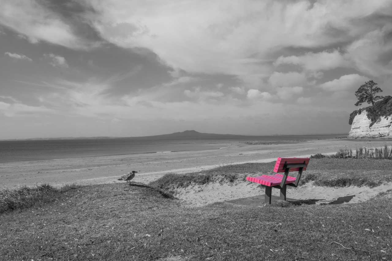 Image #04 Pink Bench Seat